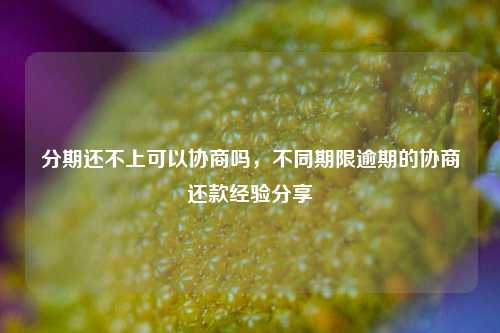 分期还不上可以协商吗，不同期限逾期的协商还款经验分享