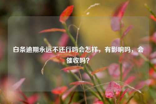 白条逾期永远不还行吗会怎样，有影响吗，会催收吗？