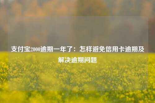 支付宝2000逾期一年了：怎样避免信用卡逾期及解决逾期问题