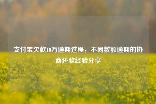 支付宝欠款10万逾期过程，不同数额逾期的协商还款经验分享