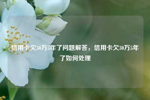 信用卡欠30万5年了问题解答，信用卡欠30万5年了如何处理