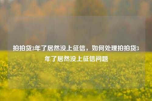 拍拍贷3年了居然没上征信，如何处理拍拍贷3年了居然没上征信问题