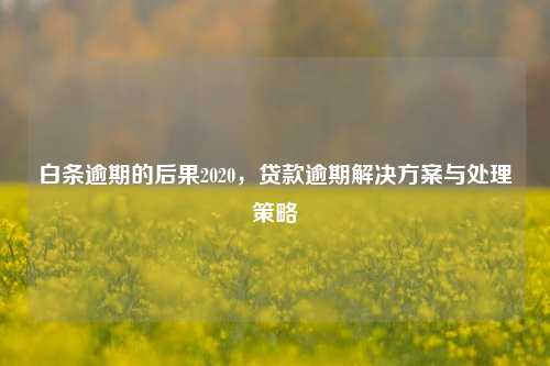 白条逾期的后果2020，贷款逾期解决方案与处理策略