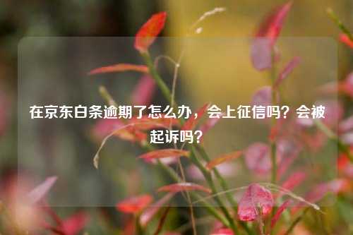 在京东白条逾期了怎么办，会上征信吗？会被起诉吗？