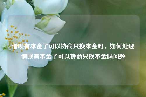 借呗有本金了可以协商只换本金吗，如何处理借呗有本金了可以协商只换本金吗问题