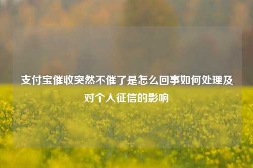 支付宝催收突然不催了是怎么回事如何处理及对个人征信的影响