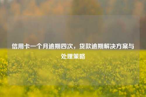 信用卡一个月逾期四次，贷款逾期解决方案与处理策略