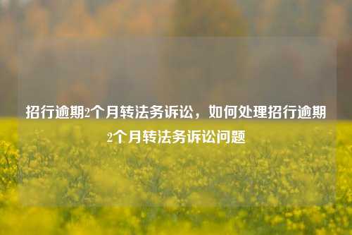 招行逾期2个月转法务诉讼，如何处理招行逾期2个月转法务诉讼问题