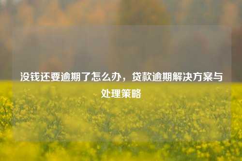 没钱还要逾期了怎么办，贷款逾期解决方案与处理策略