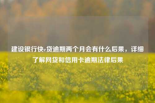 建设银行快e贷逾期两个月会有什么后果，详细了解网贷和信用卡逾期法律后果