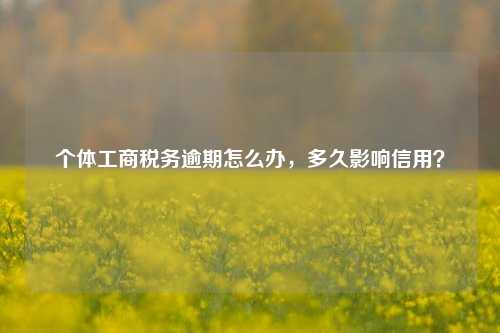 个体工商税务逾期怎么办，多久影响信用？