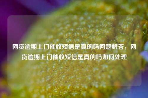 网贷逾期上门催收短信是真的吗问题解答，网贷逾期上门催收短信是真的吗如何处理