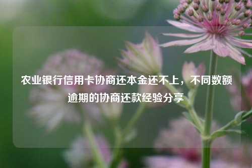 农业银行信用卡协商还本金还不上，不同数额逾期的协商还款经验分享