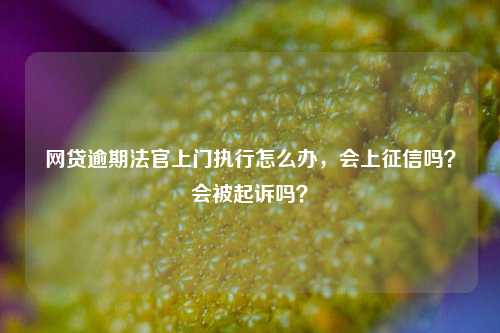 网贷逾期法官上门执行怎么办，会上征信吗？会被起诉吗？