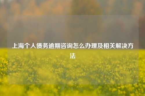 上海个人债务逾期咨询怎么办理及相关解决方法