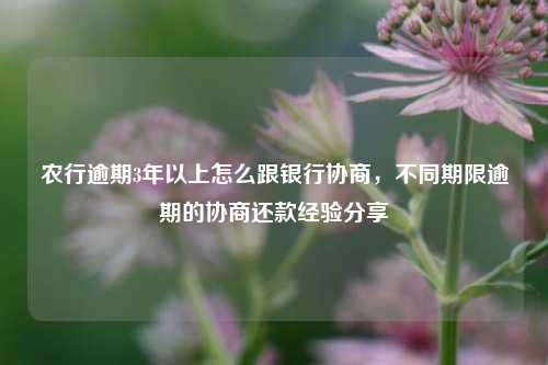 农行逾期3年以上怎么跟银行协商，不同期限逾期的协商还款经验分享