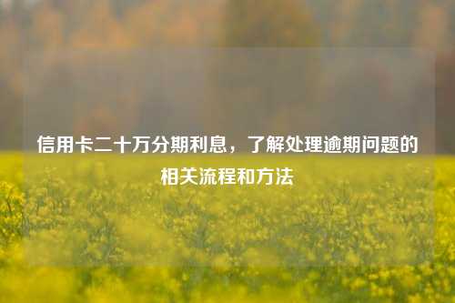 信用卡二十万分期利息，了解处理逾期问题的相关流程和方法