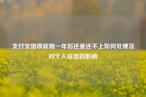 支付宝借呗延期一年后还是还不上如何处理及对个人征信的影响