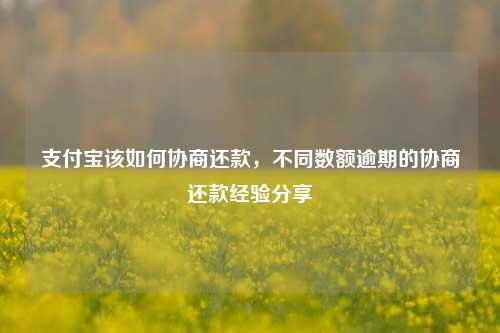 支付宝该如何协商还款，不同数额逾期的协商还款经验分享