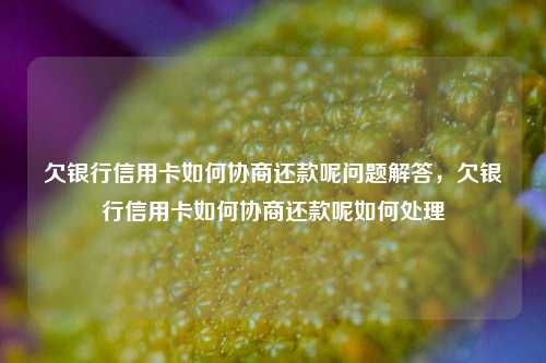 欠银行信用卡如何协商还款呢问题解答，欠银行信用卡如何协商还款呢如何处理