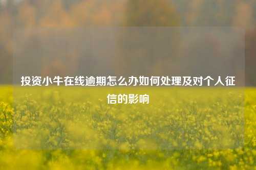 投资小牛在线逾期怎么办如何处理及对个人征信的影响