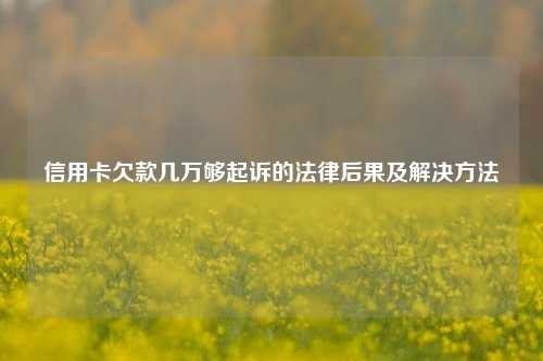 信用卡欠款几万够起诉的法律后果及解决方法