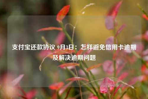 支付宝还款协议 9月3日：怎样避免信用卡逾期及解决逾期问题