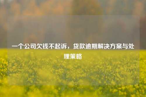 一个公司欠钱不起诉，贷款逾期解决方案与处理策略