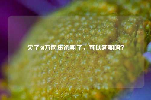 欠了30万网贷逾期了，可以延期吗？