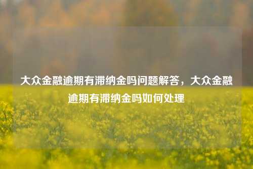 大众金融逾期有滞纳金吗问题解答，大众金融逾期有滞纳金吗如何处理