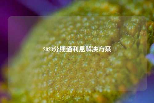 2023分期通利息解决方案