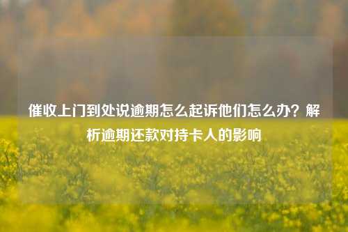 催收上门到处说逾期怎么起诉他们怎么办？解析逾期还款对持卡人的影响