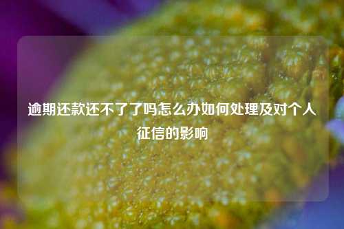 逾期还款还不了了吗怎么办如何处理及对个人征信的影响