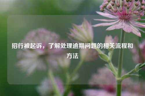 招行被起诉，了解处理逾期问题的相关流程和方法