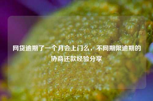 网贷逾期了一个月会上门么，不同期限逾期的协商还款经验分享