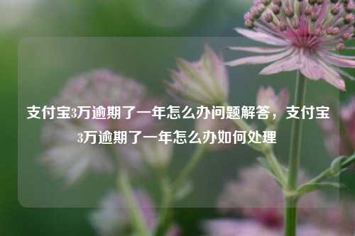 支付宝3万逾期了一年怎么办问题解答，支付宝3万逾期了一年怎么办如何处理