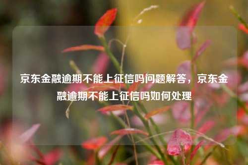 京东金融逾期不能上征信吗问题解答，京东金融逾期不能上征信吗如何处理