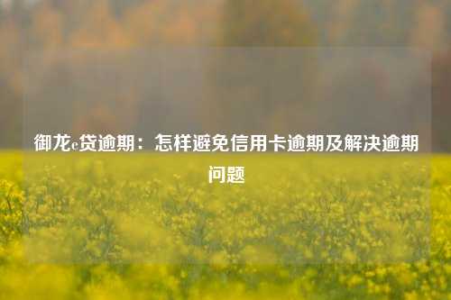 御龙e贷逾期：怎样避免信用卡逾期及解决逾期问题