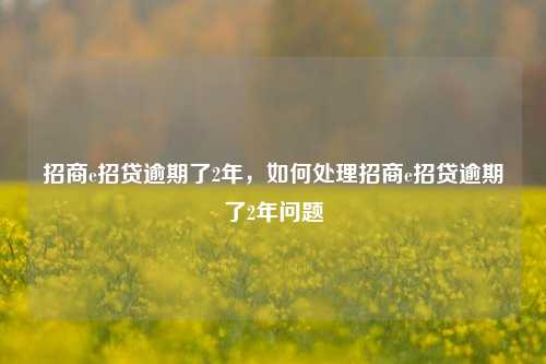 招商e招贷逾期了2年，如何处理招商e招贷逾期了2年问题