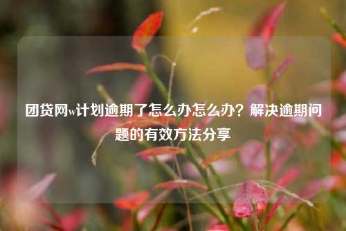 团贷网w计划逾期了怎么办怎么办？解决逾期问题的有效方法分享