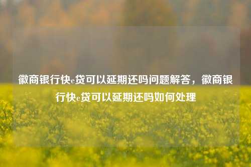 徽商银行快e贷可以延期还吗问题解答，徽商银行快e贷可以延期还吗如何处理