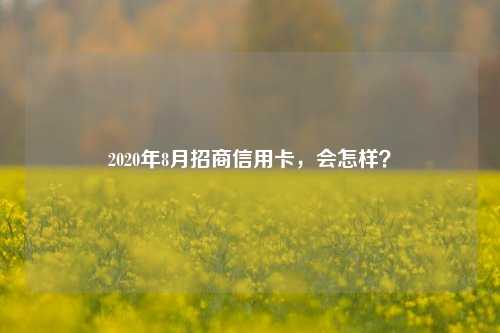 2020年8月招商信用卡，会怎样？