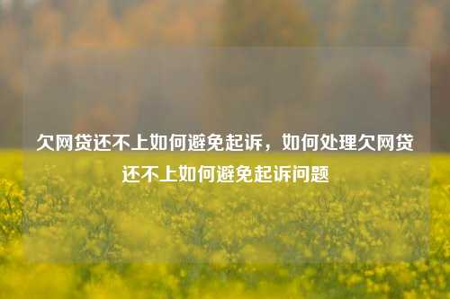 欠网贷还不上如何避免起诉，如何处理欠网贷还不上如何避免起诉问题