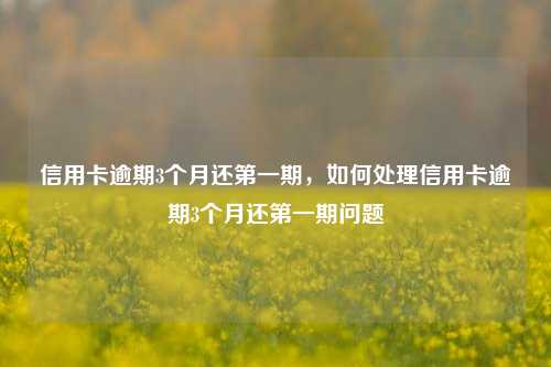 信用卡逾期3个月还第一期，如何处理信用卡逾期3个月还第一期问题