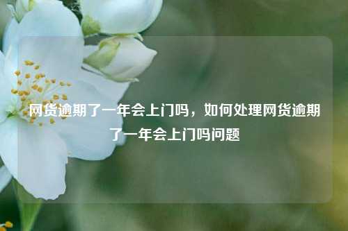 网货逾期了一年会上门吗，如何处理网货逾期了一年会上门吗问题