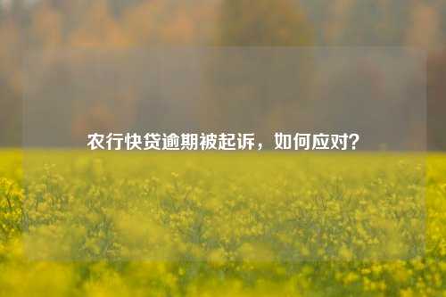 农行快贷逾期被起诉，如何应对？