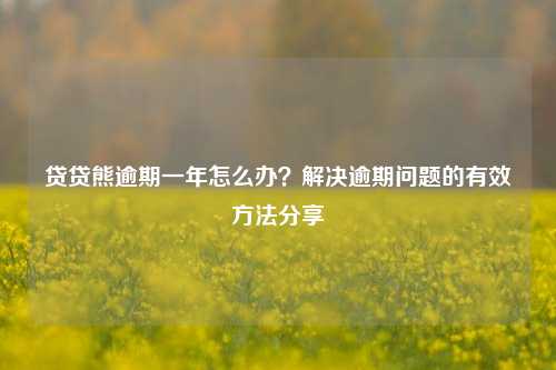 贷贷熊逾期一年怎么办？解决逾期问题的有效方法分享