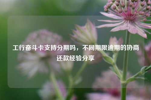 工行奋斗卡支持分期吗，不同期限逾期的协商还款经验分享