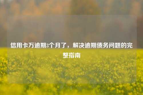 信用卡万逾期3个月了，解决逾期债务问题的完整指南