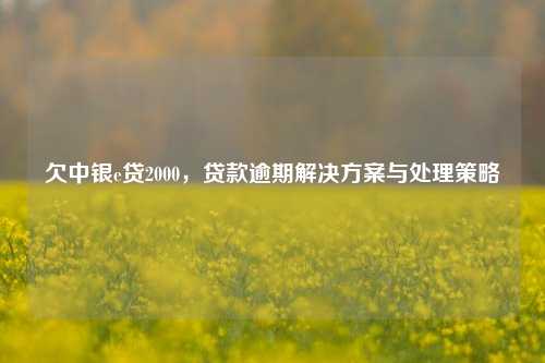 欠中银e贷2000，贷款逾期解决方案与处理策略